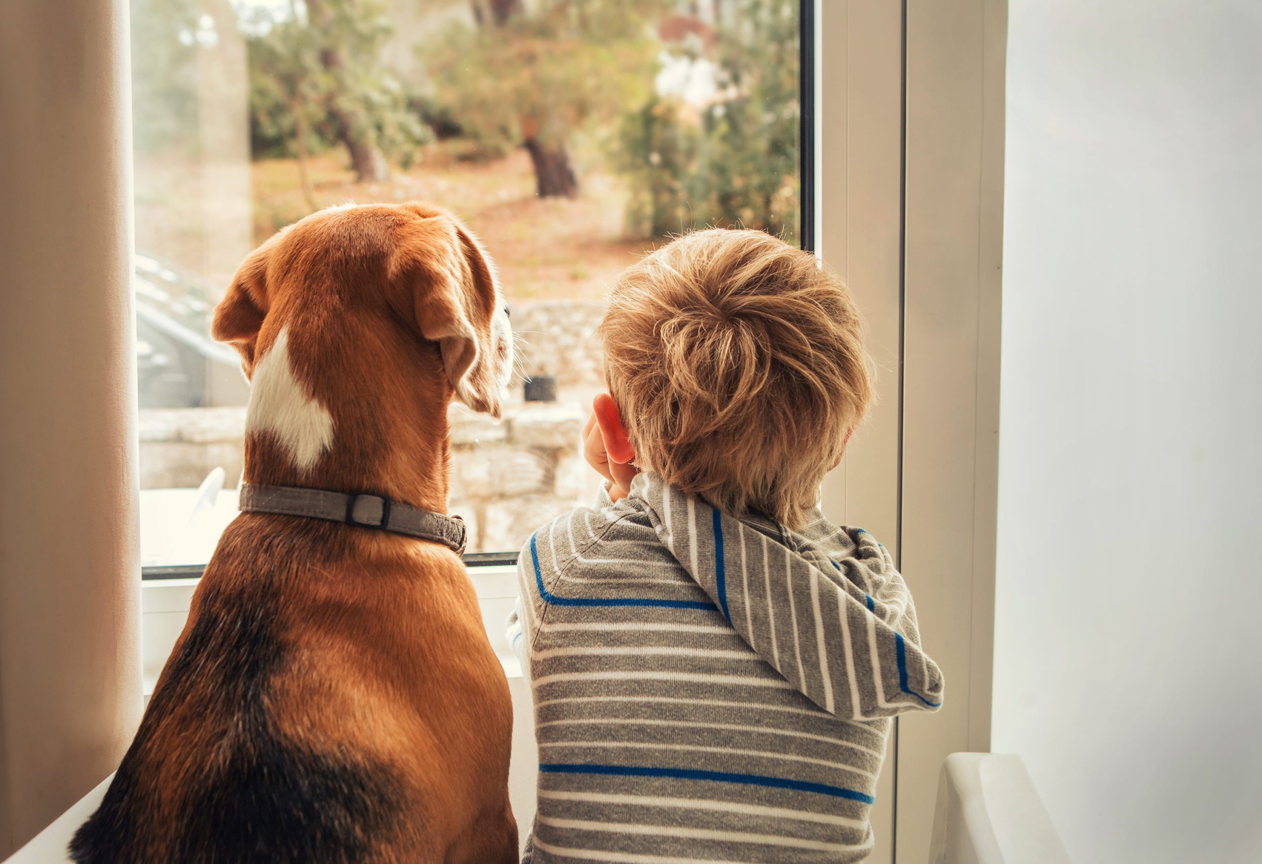 Child sitting next to a dog looking out of a window